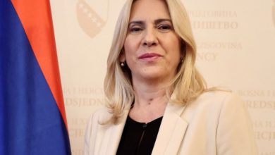 Cvijanović: Utvrditi ko je odgovoran za dešavanja u Širokom Brijegu