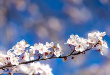 Uživajte u sunčanom danu, večeras stiže promjena vremena