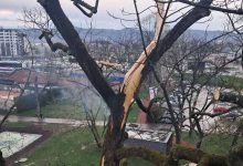 Grom udario u drvo u centru Banjaluke