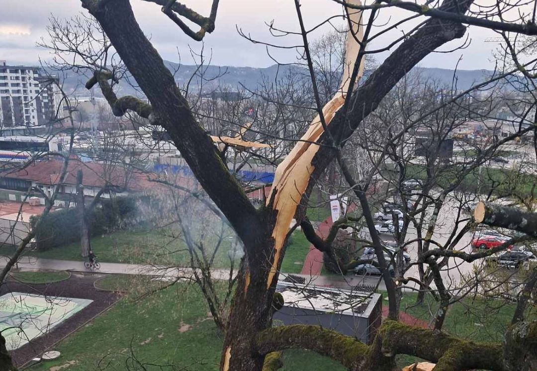 Grom udario u drvo u centru Banjaluke