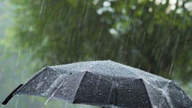 Prije podne sunčani periodi, poslije podne lokalni pljuskovi