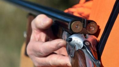 Ubio mačku hicem iz lovačke puške