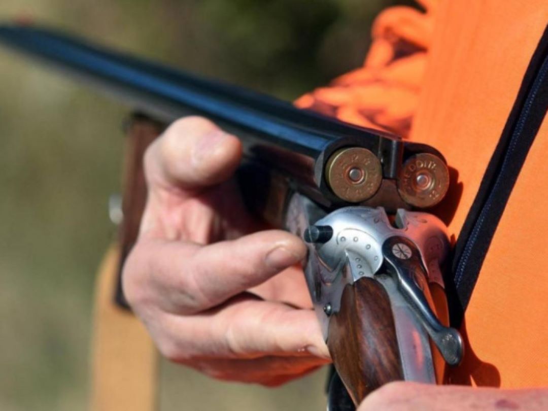 Ubio mačku hicem iz lovačke puške