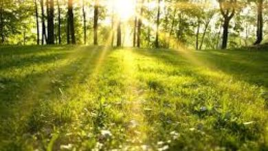 Danas sunčano i natprosječno toplo