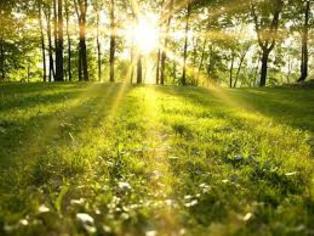 Danas sunčano i natprosječno toplo