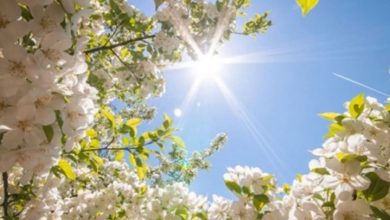 Danas sunčano, temperature od -1 do 25 stepeni
