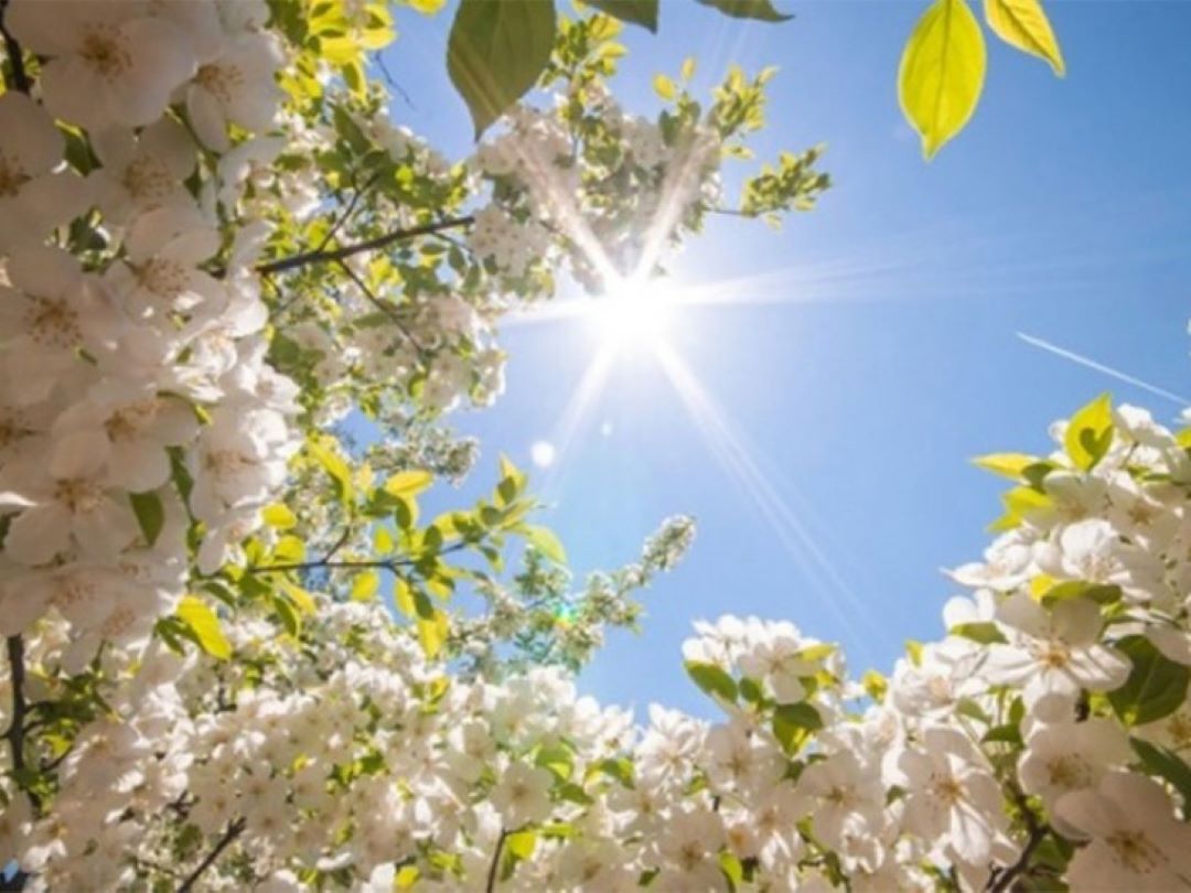 Danas sunčano, temperature od -1 do 25 stepeni