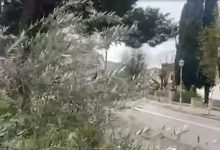 Jaka bura u Trebinju, na snazi narandžasti meteoalarm