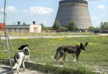 40 godina od nuklearne katastrofe u Černobilju: Tišina koja i dalje govori