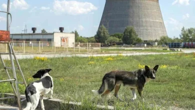 40 godina od nuklearne katastrofe u Černobilju: Tišina koja i dalje govori