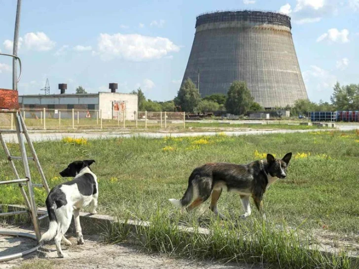 40 godina od nuklearne katastrofe u Černobilju: Tišina koja i dalje govori