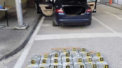 Velika zapljena na granici sa BiH: Pao sa 25 kilograma marihuane