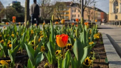 Kakvo nas vrijeme očekuje danas