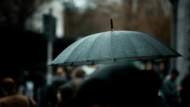 Danas oblačno sa kišom i svježije