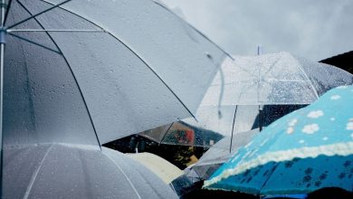 Pripremite kišobrane: Meteorolozi najavili pljuskove i grmljavinu