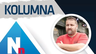 Tri stotine šezdeset i pet Srđana