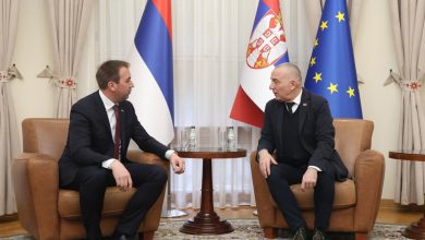 Ministar Vujić putuje u Hag zbog Mladića: Selak traži adekvatno liječenje