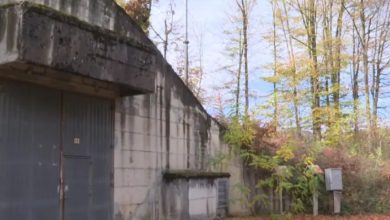 Vipotnik o slučaju Trgovska gora: U Ženevu sa čvrstim argumentima