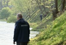 Inspekcija izašla na teren, najavljena sadnja 50 novih vrba kraj Vrbasa