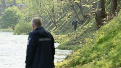 Inspekcija izašla na teren, najavljena sadnja 50 novih vrba kraj Vrbasa