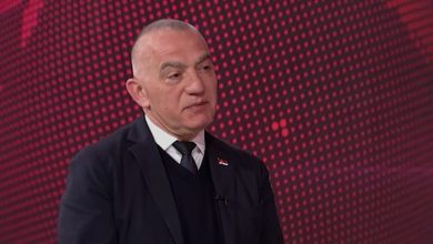 Vujić: Srpski ljekari sutra će pregledati generala Mladića
