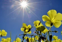 Stabilizacija vremena: Temperatura do 26 stepeni