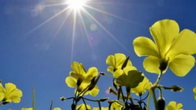 Stabilizacija vremena: Temperatura do 26 stepeni