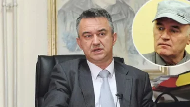 Darko Mladić: Još nema odluke o zahtjevu za puštanje generala na liječenje