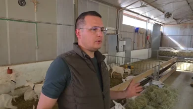 Četiri brata ostala na svom ognjištu i izgradila uspješnu farmu