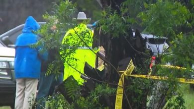 Stravična tragedija: Srušio se avion sa igračima, nema preživjelih