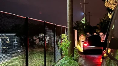 Krvavi obračun u Obrenovcu, naoružani napadači se skrivaju u šumi