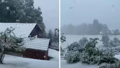Jaki vjetrovi i snijeg u Sloveniji