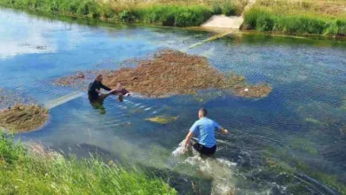 Herojski podvig trebinjske policije: Spasili ženu iz Trebišnjice