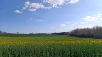 Meteorolozi objavili prognozu: Kakvo vrijeme će biti za Đurđevdan?