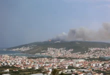 Veliki požar na Jadranu prijeti kućama: Dim i pepeo, ne može se disati