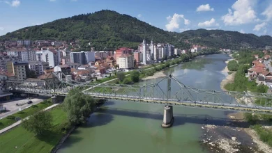 Drina nosila ženu 800 metara, policajci je spasili od utapanja