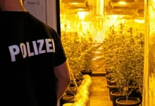 “Baštovan” iz BiH osuđen na dvije godine