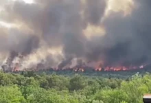Veliki požar kod Šibenika: Tri kanadera i 70 vatrogasaca na terenu