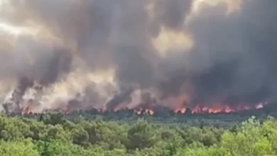 Veliki požar kod Šibenika: Tri kanadera i 70 vatrogasaca na terenu