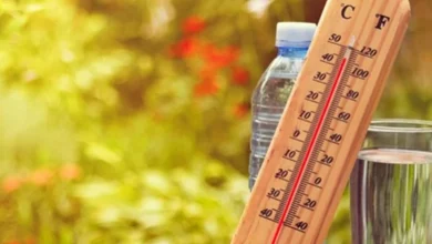 Meteorolozi upozoravaju: Stižu najvreliji dani, do 42 stepena