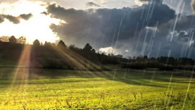 Sunčano i toplo, uveče mogući pljuskovi sa grmljavinom