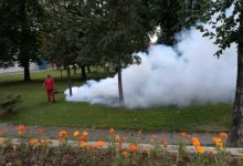 Večeras i sutra: Akcija suzbijanja komaraca, poziv pčelarima da preduzmu mjere zaštite pčela
