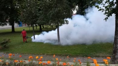 Večeras i sutra: Akcija suzbijanja komaraca, poziv pčelarima da preduzmu mjere zaštite pčela