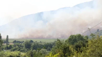 Veliki požar kod Čapljine prijeti kućama