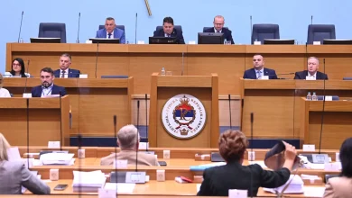 Narodna skupština počela raspravu o zabrani ustaških simbola i ljiljana