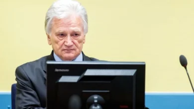 Momčilo Perišić pušten na slobodu