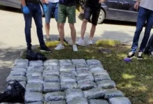 Određen pritvor Bjelaku kod kojeg je zaplijenjeno 73 kg droge